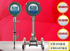 DN100熱式氣體質(zhì)量流量計(jì)
